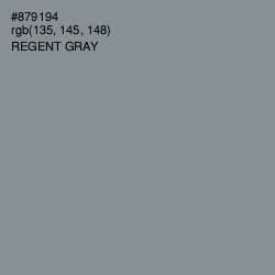#879194 - Regent Gray Color Image